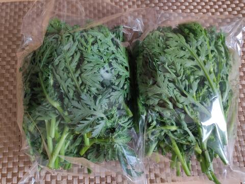 🥬畑から直送！春キャベツ1玉＋旬の新鮮野菜3品セット｜農薬・化成肥料不使用！✨