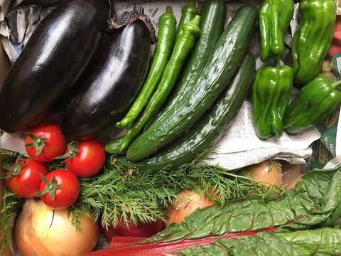 瀬戸内よりお届け!旬の野菜詰め合わせ便(2~3名様用)