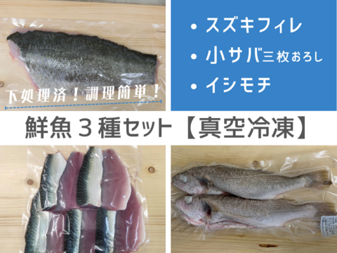 【急速冷凍・真空】鮮魚３種セット（スズキフィレ・小サバ三枚おろし・イシモチ）【下処理済】