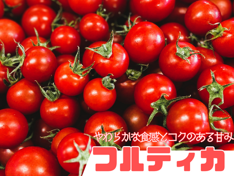 【ついに登場♫】高糖度フルーツトマト「ポモロッサ　味くらべボックス」（赤＋オレンジ　1kg）