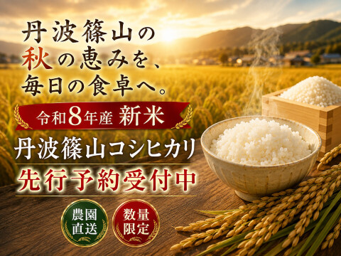 【令和8年産 新米・先行予約】丹波篠山産 コシヒカリ 10kg 2026年産・農園直送 ご家庭用 新米 特 コシヒカリ こしひかり 10㎏ 数量限定 お米 米