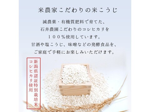 【乾燥米こうじ  500ｇ×12個】 新潟県弥彦村 石井農園 新潟県認証特別栽培米 コシヒカリ１００％