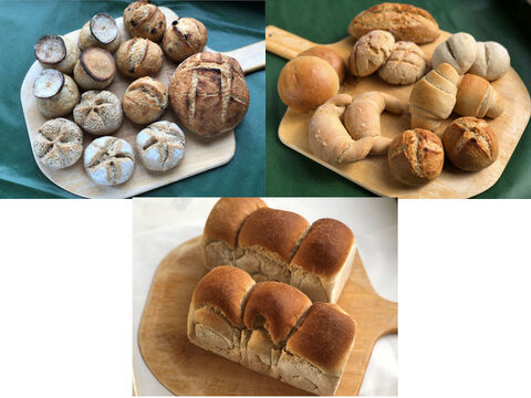 【超貴重な有機JAS認証パン】パンセット⑭+④+⑨:麦の栽培から一貫生産 自然栽培小麦のみ使用したパンセット + ハード系パンセット + 食パン×2