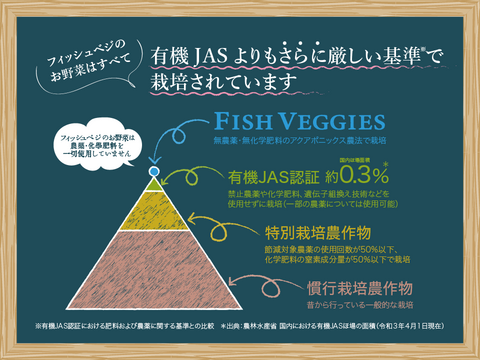 【FISH VEGGIES】グリーン系レタス 60g　化学肥料/農薬不使用だから安心して食べられる