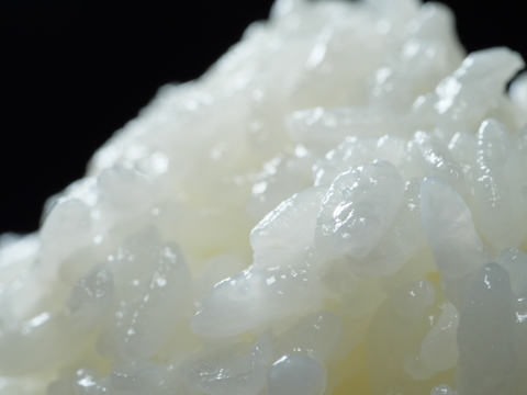 【R7年新米】第27回米・食味分析鑑定国際コンクール金賞/精米2kg南魚沼産ぴかまる/まつえんどんのお米