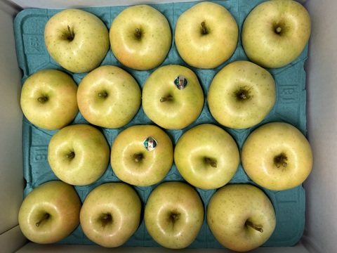 【ときめく甘さ】 トキ 約3kg(8～12個)