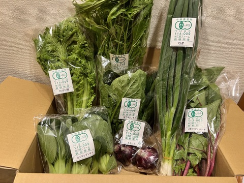 採れたて！旬の有機野菜の詰め合わせ（お試し6種）