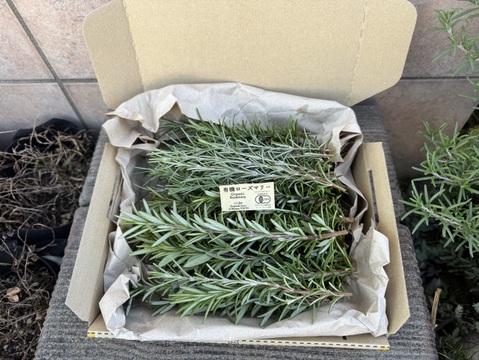 有機ローズマリー・たっぷり２種セット（クロネココンパクト便発送）Xmas限定