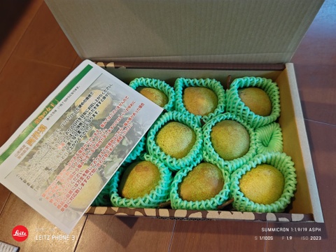 【毎年完売感謝】 【2025年度先行予約】 幻の品種 数量限定販売！秀品 ラネージュ！ 約2㎏ 6玉～10玉 山形県産 RNE01-01-01