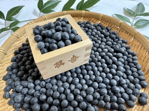 🎍【新豆】丹波黒豆 & 丹波大納言小豆 各500g お正月に食べたい特産品2