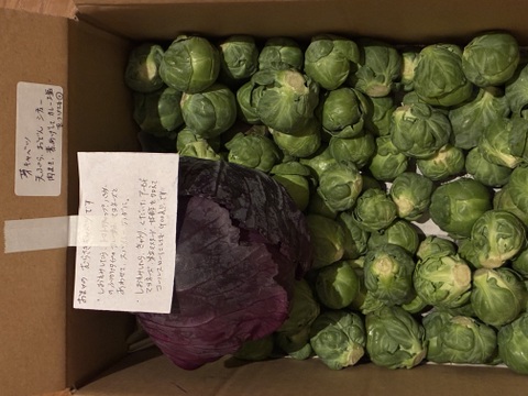 【食べチョクアワード2025入賞】
ともちゃんの芽キャベツ　１ｋｇ