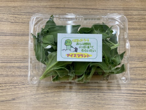 キラキラお野菜アイスプラント（８０g×８パック入り）