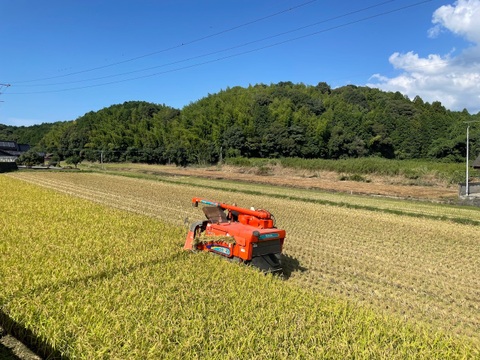 つやつや❗️福岡のお米 令和6年産 新米夢つくし（5kg）