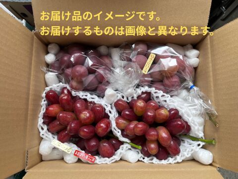 緑の宝玉！完熟『シャインマスカット』4ｋｇ（6房～9房）