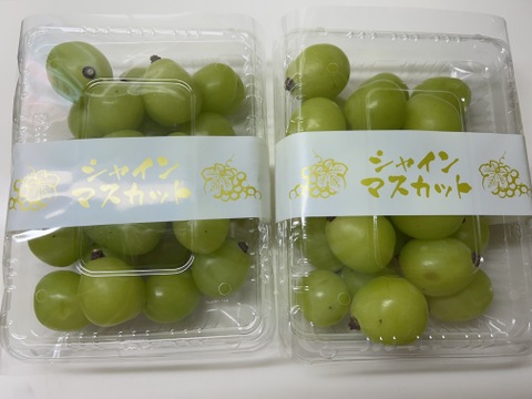 パリパリ食感★大粒シャインマスカット★ご家庭用（３５０ｇ×２パック入り）７００ｇ