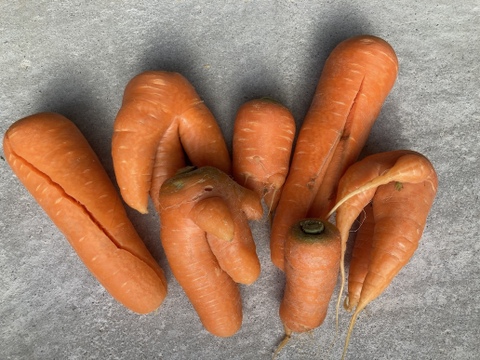 甘み旨みたっぷり！訳あり人参！栄養価コンテスト人参部門最優秀賞受賞！訳あり人参5kg 化学合成農薬・化学肥料・除草剤不使用！割れ　ヒビ　又割れ　傷　少々の虫食い　味は通常人参と同じ！　個性豊かな人参