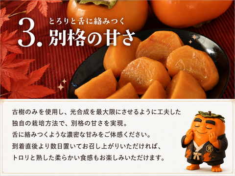 【2026年11月1日出荷開始〜】ご家庭用 中玉32〜36玉入り　⁂大人が選ぶ次郎柿⁂