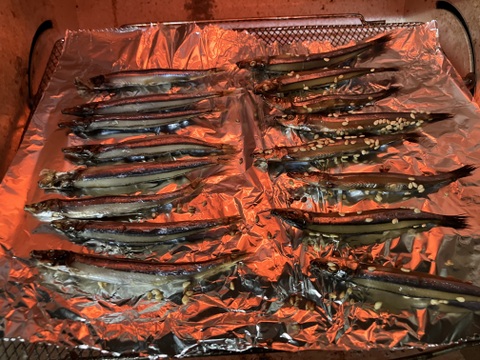 きんなご（塩） 一夜干し 冷凍 総重量 600ｇ