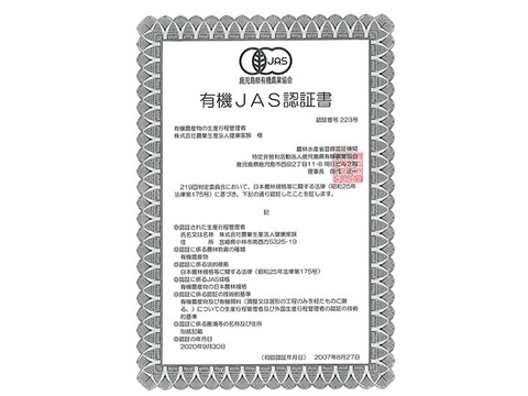 【有機バラにんにく300g入】【宮崎県産】 令和６年度産新有機にんにく王