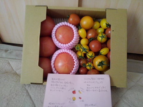 【 100％純トマト🍅】【雪ちゃんトマト】髙橋農場のトマト全部2キロ箱詰め（内容量1800gくらい）