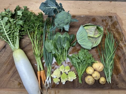 カラダよろこぶ‼︎  野菜セット