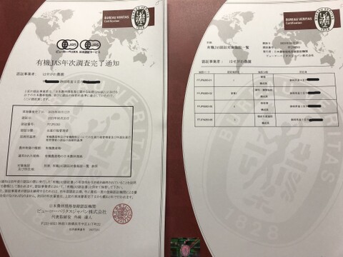 【夏ギフト】【贈答用・お中元に】自然栽培アールスメロン（固定種）　約1.3kg 1玉　無肥料栽培特有のなめらかな食感と、後味の良いスッキリとした甘さのメロンです。　8月中旬出荷予定。有機JAS認証取得