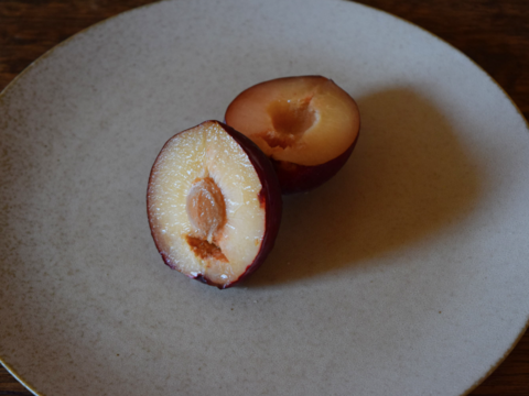 【2026年先行予約】【すもも・太陽】貴陽の生みの親！酸味と甘味の絶妙なバランス 約20玉