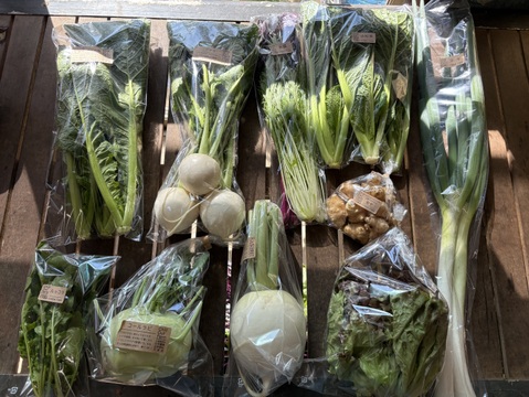 【贈り物にも！】菊芋入り/彩り豊かな野菜の秋冬野菜10種類前後/めずらしい野菜も入ってるかも？【農薬・化学肥料不使用】
