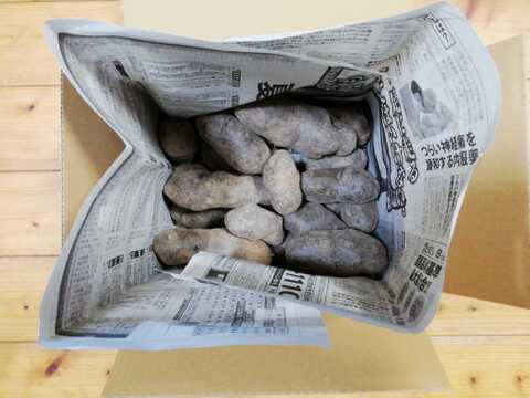 ジャガイモ(シャドークイーン)2.5～３㎏程度【農薬化学肥料不使用】【合わせ買い可】【熨斗(のし)対応可】