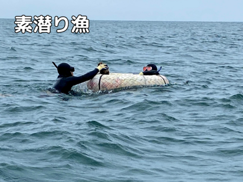 【夏期限定】ヨコタ礁天然岩牡蠣_生食用（中10個）