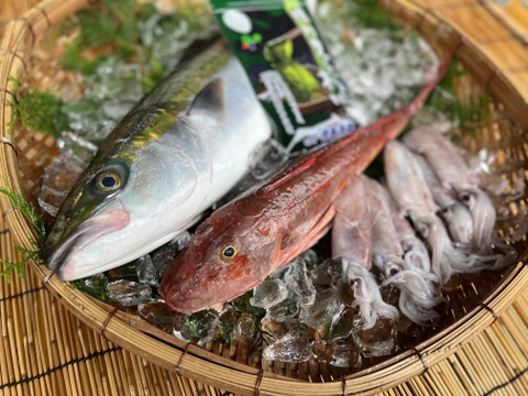 ◆カットわかめ付き◆
【天然魚】獲れたて朝出荷！「徳島の旬 鮮魚BOX」（3種下処理付き）