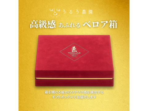 予約販売 2026年11月下旬～順次発送】 紅白いちごセット 紅白極上