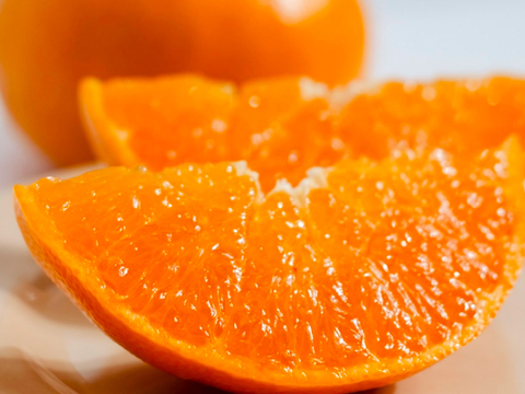 【予約限定価格】柑橘の大トロ【せとか 5.5kg】～とろける濃厚果実～ 家庭用