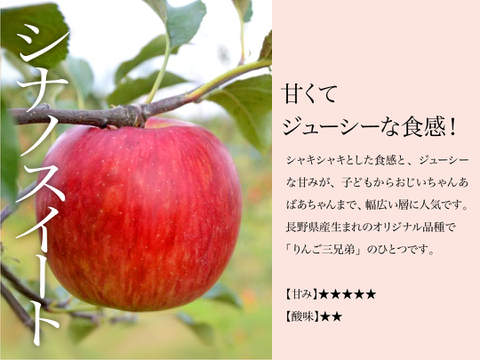 【2026年予約】『シナノスイート』家庭用  ジュワッと甘〜い人気品種！5kg