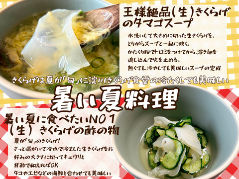 高知県仁淀川町産『(生)白あらげきくらげ』奇跡の水で育てた「純白の贅沢」収穫量の約1割。“極上”だけを選び抜いた“白色の生きくらげ”です。季節限定。数量限定。内容量:800g(400g×2P)