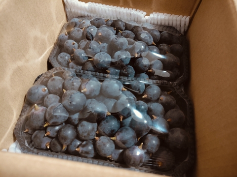 【超超訳あり】ナガノパープル 1.8kg(900g×2パック)【バラ粒・加工用】