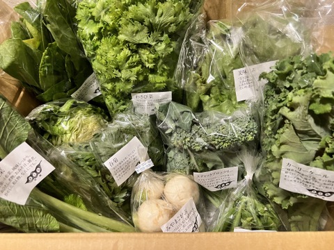 野菜セットＭサイズ（9〜10品）【農薬・化学肥料・動物性堆肥｜不使用】