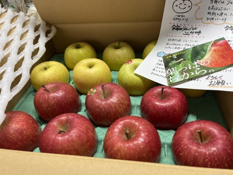 かなり人気です！葉取らずふじ&王林セット5キロ