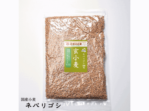 ネバ玄粒 玄小麦 中力系 800g 青森県産単一品「ネバリゴシ」100％ 日本の小麦 国産小麦 国産玄麦