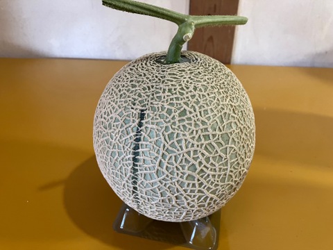 今季最終便ご家庭用マスクメロン🍈3.2kg(1.6kg×2玉・くまモン箱入り)