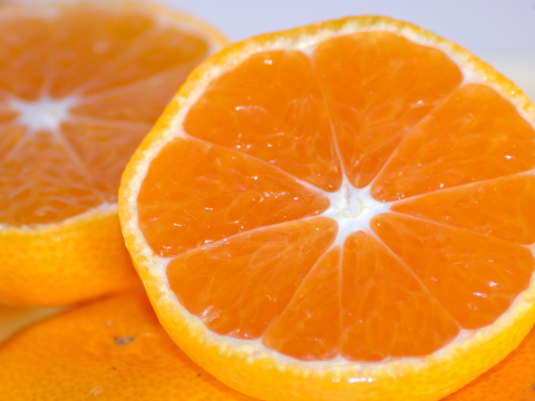 濃厚完熟　蔵出し　青島みかん　優品・5ｋｇ