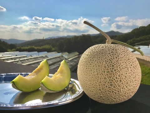 【冬ギフト】岡山県産マスクメロン 1玉（1.5kg~)