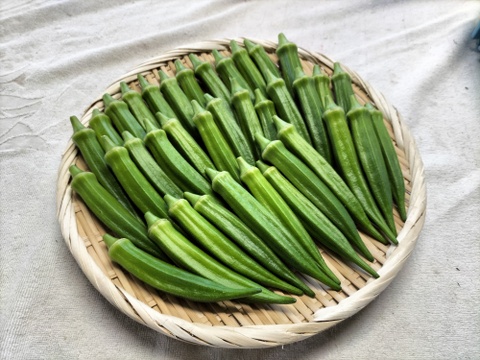 スナップエンドウ/オクラのセット（約2kg/約1kg）