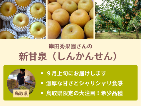 【売り切れ】【限定200セット】梨の食べ比べ便（食べチョク公式）