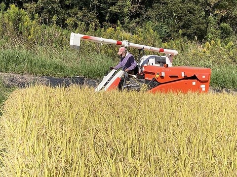 農薬不使用・無施肥　上白米　灯かり米（ヒノヒカリ）　箱込１０kg