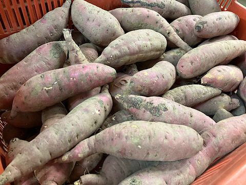 【保存料添加物不使用】完熟べにはるかの干し芋（内容量1袋/150g）