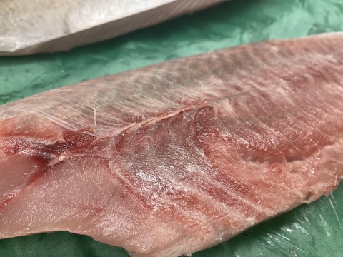 【秋の旨い魚】迷いハガツオ/キツネ/1.6~1.8㎏前後/半身フィレ/脂のり旨いです【今だけ生で送ります】