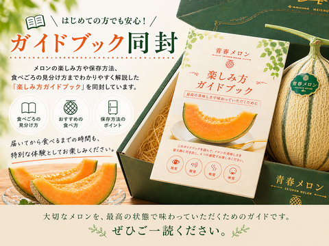 ”笑顔にさせる甘さ”を追求してきた「青春メロン」｜めろん2玉