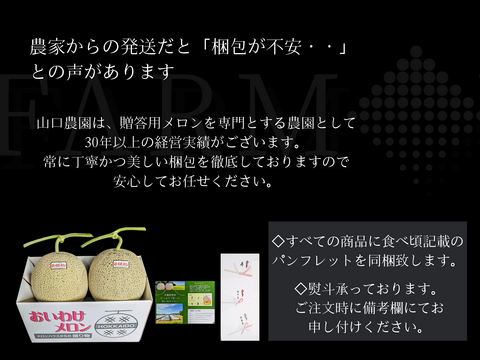ギフトに大人気 【北海道メロン】 2玉入り　大玉