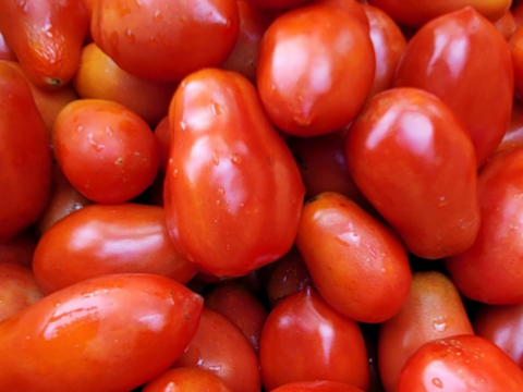 自然栽培トマトとニンジンを使ったケチャップ 140g 1瓶×6